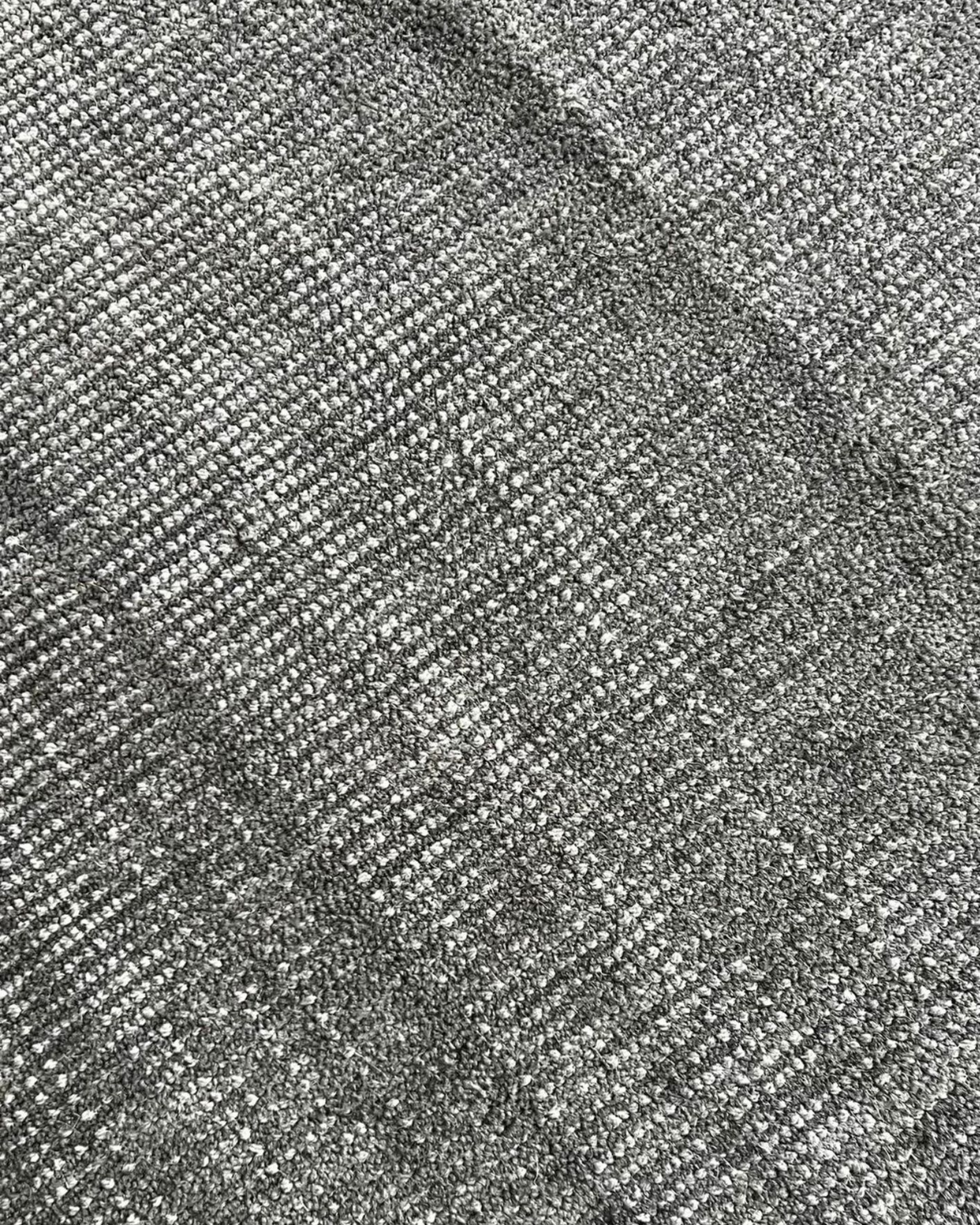EAGLE Gray | 8 x 10 Ft